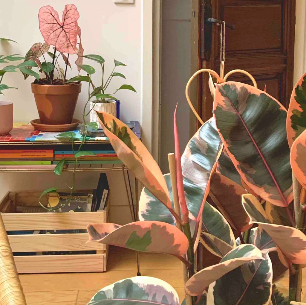 jeannotparis_vegetalisation-16e_3