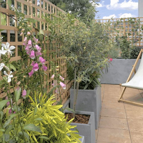 L’écrin de nature (Neuilly s/ Seine)