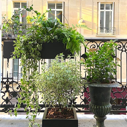 Le balcon Nord (Paris 17)