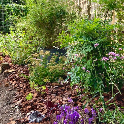 La bordure naturaliste (Bordeaux)