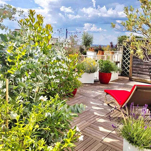 Nature suspendue (Paris 15)