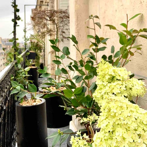 Le balcon vertical (Paris 14)