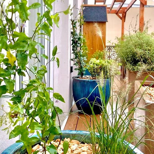 La terrasse métamorphosée (Montmagny)