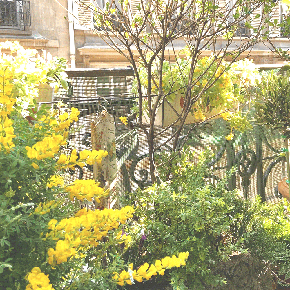 Le balcon italien (Paris 17)