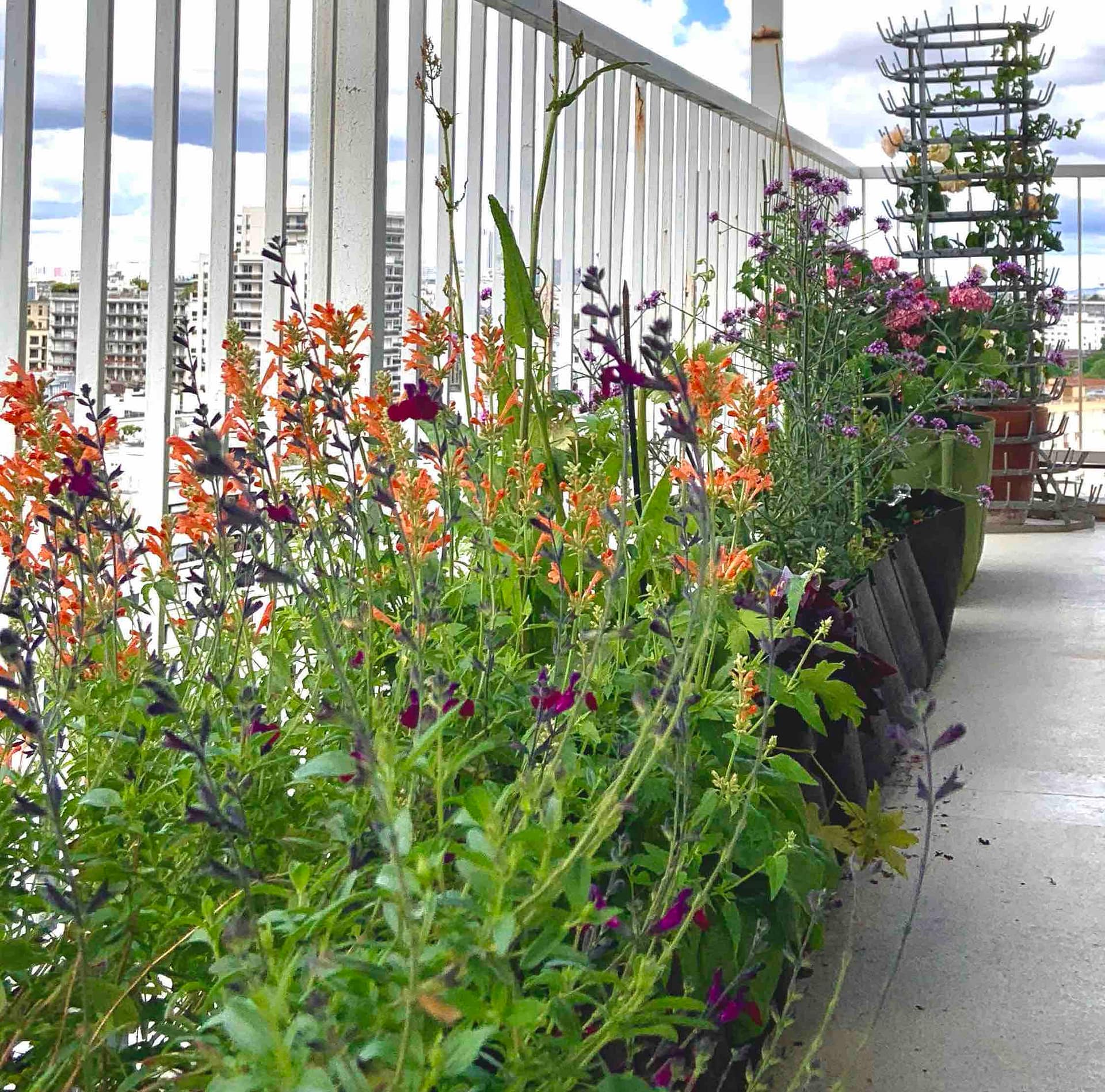 Le balcon en permaculture (Paris 13)