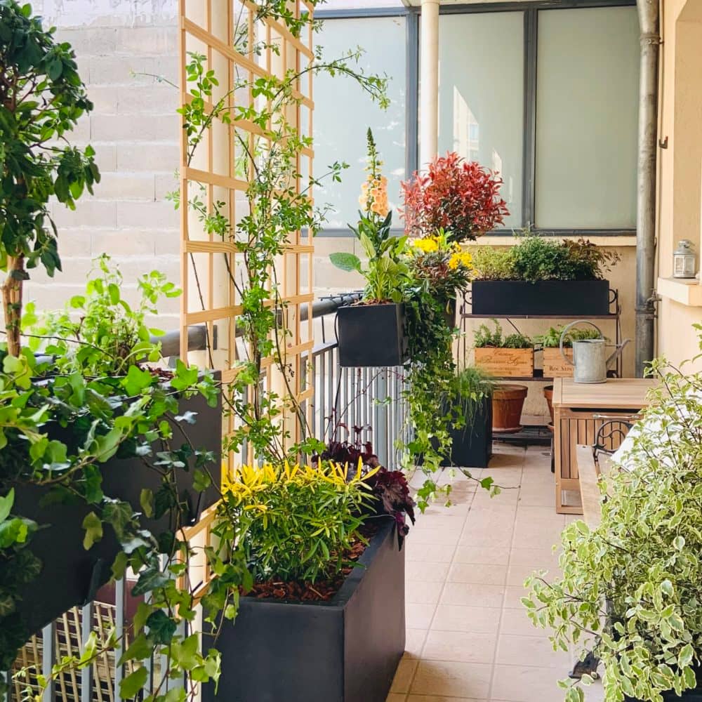 Bonheur au balcon (Paris 13)