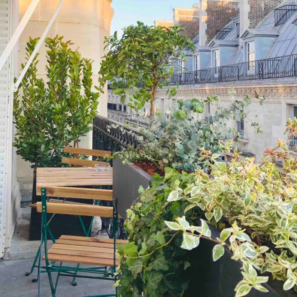 Le balcon plein Sud (Paris 1)