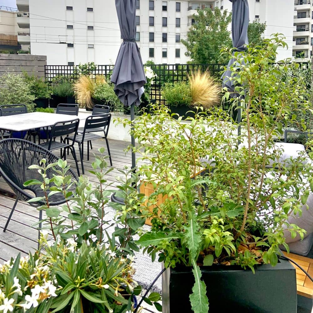 Le rooftop végétalisé (St-Ouen)
