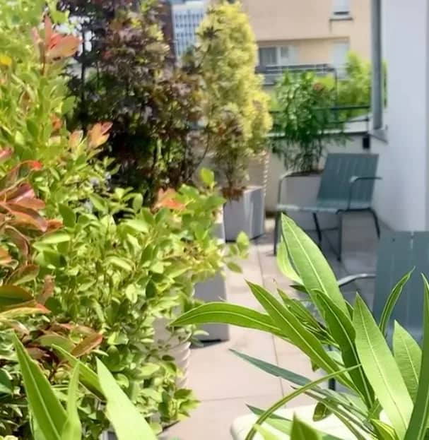 La terrasse, ma pièce préférée (Bordeaux)