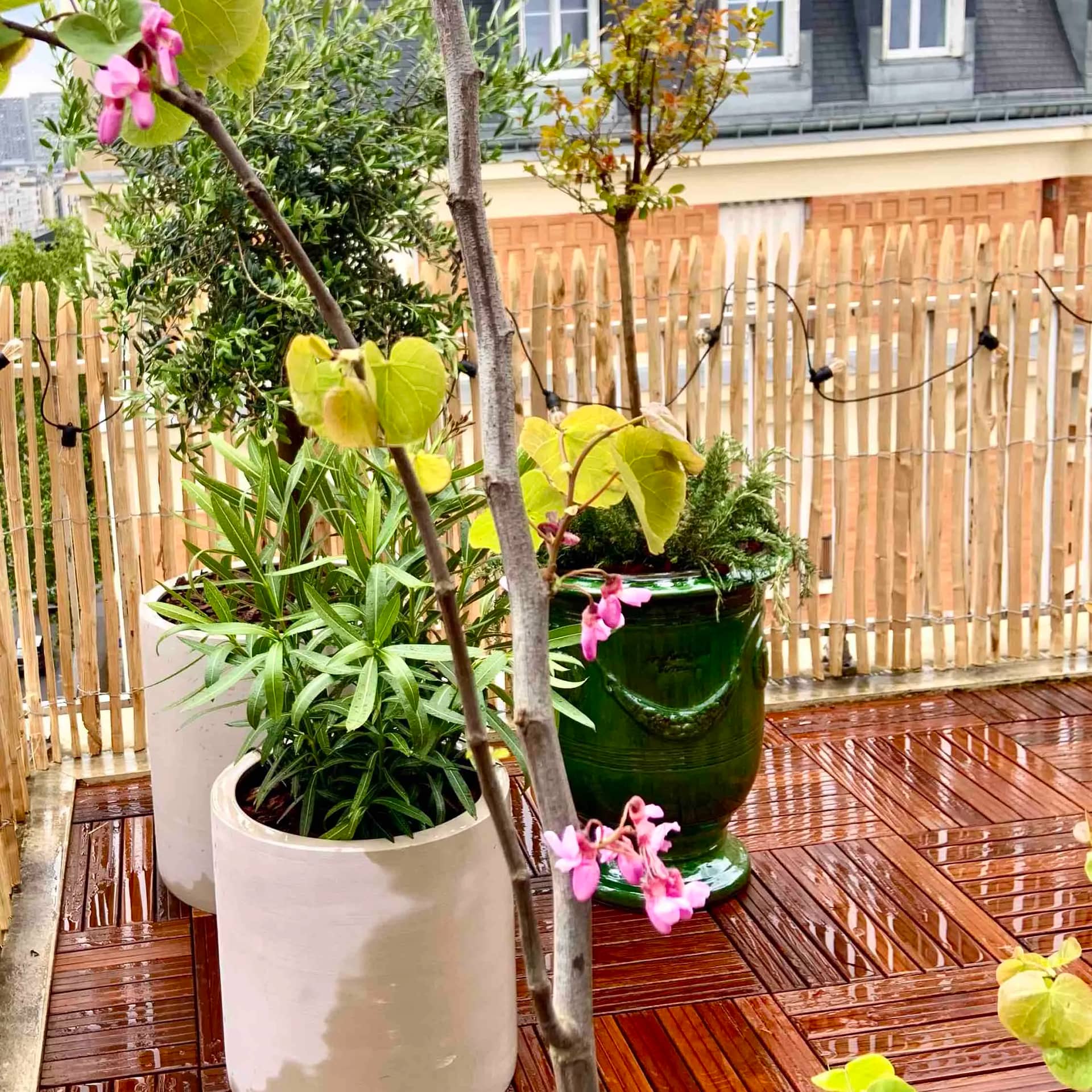 Terrasse & campagne (Paris 15)